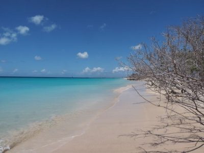Low Bay Barbuda