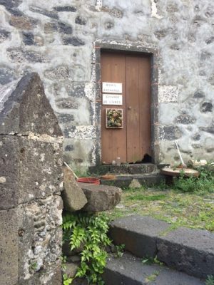 Flores Büchertausch IMG_7228