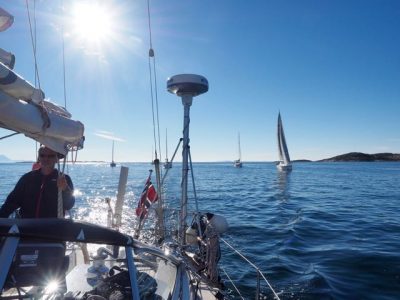 Das Empfangskomitee zu Wasser